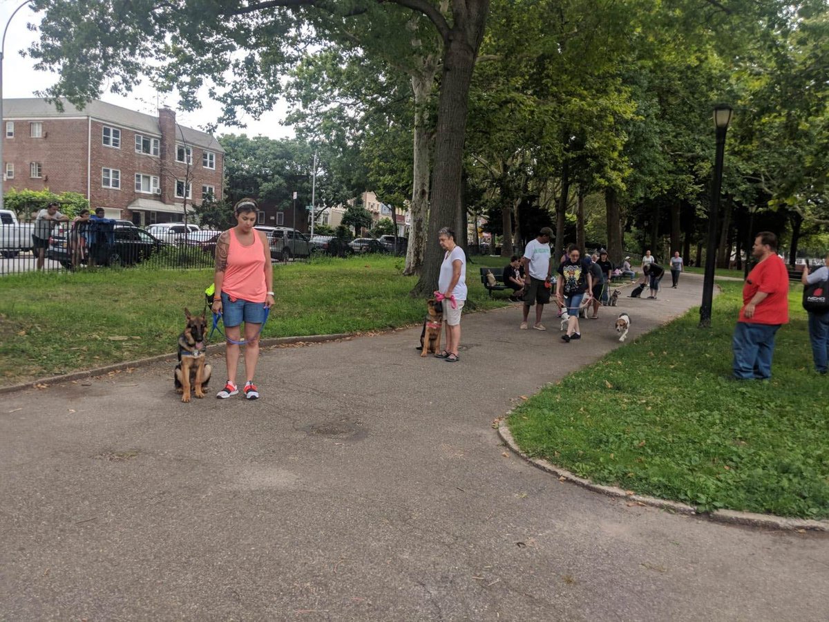 ABCsofDogT's tweet image. Be sure to make it over to our website or visit us at 77-05 21st Ave to learn more about our services in the Queens, NY area. #DogBoarding #PitbullTraining #DogBehaviorModification bit.ly/3vxecHj