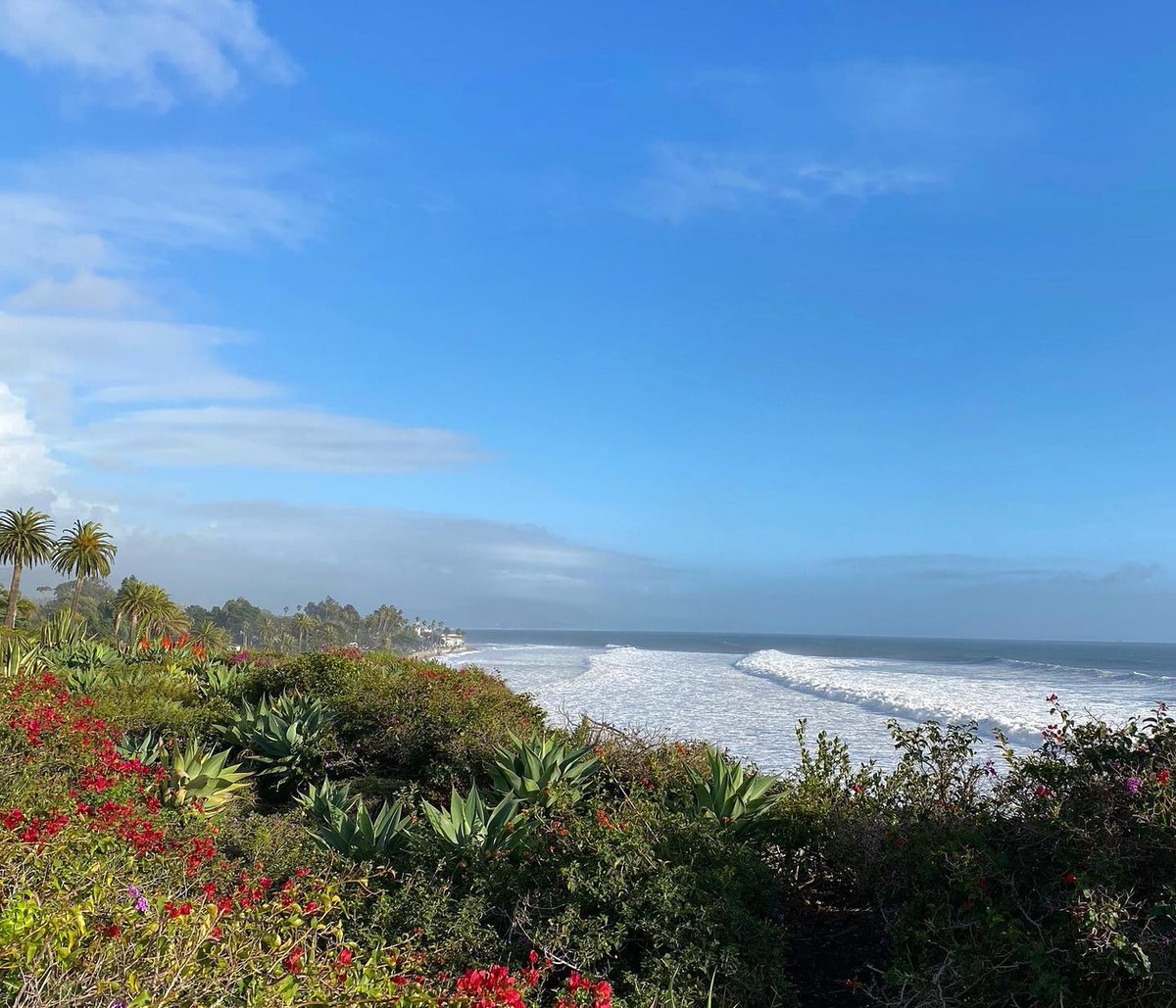 A moment of beachside bliss.✨ #SeeSB

📷: sincerelysantabarbara via Instagram
