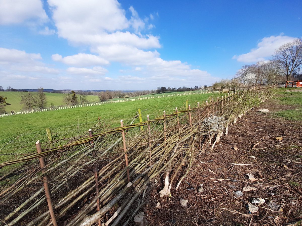 Our popular 1-day Hedgelaying for Beginners course is this Saturday 25th February 2023, 9am - 4:30pm, costing only £80 per person, we have 3 spaces remaining!
For more information, including how to book, please visit: bit.ly/3FLsIx0