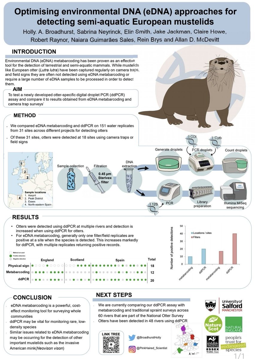 My poster presentation at the #UKDNAWG showing our study comparing single-species #ddPCR with #cameratraps and #eDNA #metabarcoding for detecting @otters from water samples. @ShrewGod @naiarasales_