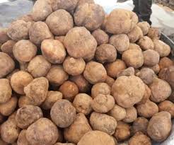 بوسعود - حلو الأيام tweet media