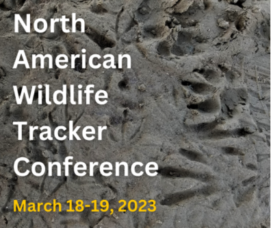 Wildlife Tracking Conference! #PleaseRetweet
Online on March 18 &amp; 19, 2023. 
For more info &amp; to register, visit trackercertification.com/conference/ 

#wildlife #tracking #NameThatTrack #TracksAndSign #conservation #fieldskills