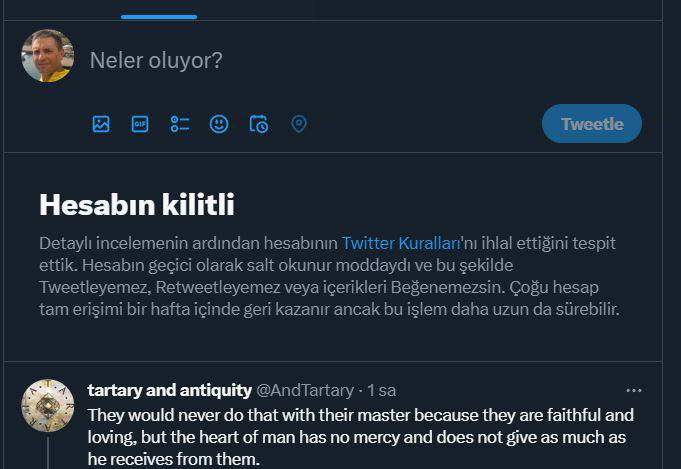 lukedefrost's tweet photo. @Ender205 31) Son gönderisinden sonra Ender beyin hesabı @elonmusk tarafından kilitlendi. https://t.co/VMQFZ6s5mi