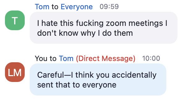 Wolfe321's tweet photo. When the Zoom speaker accidentally sends this message to everyone. I tried to let him know what he did, but then he wrote another one a few minutes later. https://t.co/U4NG64Clu5