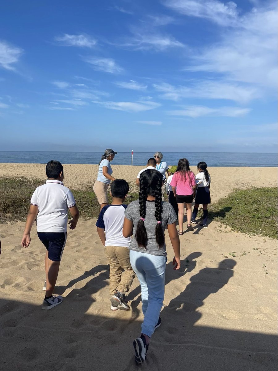 OceanConnectors's tweet image. Our hardworking team members in Nayarit, Mexico are very busy with 4th grade field trips! Students get to experience their local ocean environment while learning about conservation and different sea turtle species&apos; nesting behaviors.

#BeAnOceanConnector #Conservation