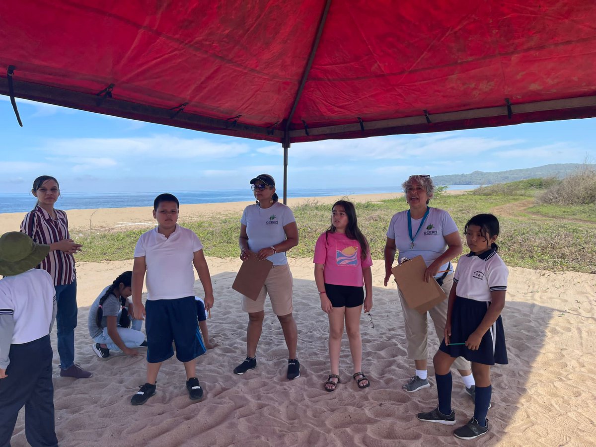 OceanConnectors's tweet image. Our hardworking team members in Nayarit, Mexico are very busy with 4th grade field trips! Students get to experience their local ocean environment while learning about conservation and different sea turtle species&apos; nesting behaviors.

#BeAnOceanConnector #Conservation