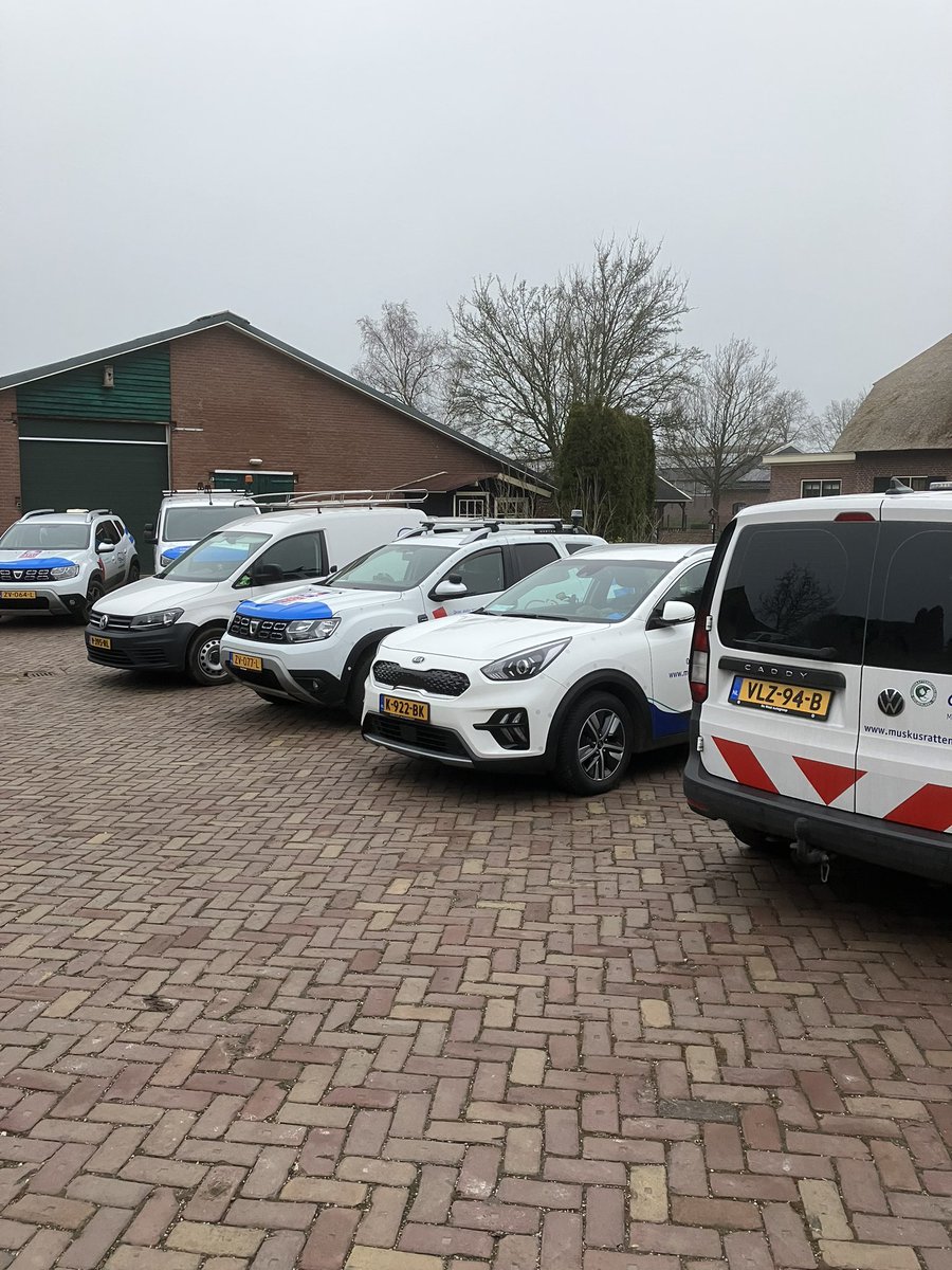 BlauweLampie's tweet photo. Mooie samenwerking vandaag van #muskusrattenbeheer van @wsrivierenland en @HDSR_waterschap in het kader van het terugdringen van de #muskusrat tot de landsgrenzen. Een groot deel van polder #Hekendorp afgespeurd. https://t.co/YeMMG7sfXN
