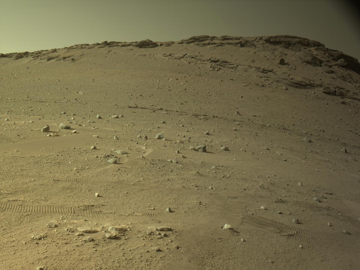 MarsMissionImgs's tweet photo. #PerseveranceRover image taken on #Sol700 at 4:36:50.287 PM with #Navcam #Mars #NASA #Space https://t.co/pERFOsHGaH