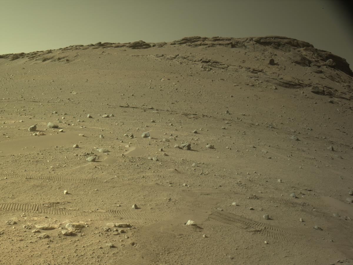 MarsMissionImgs's tweet photo. #PerseveranceRover image taken on #Sol700 at 4:36:50.287 PM with #Navcam #Mars #NASA #Space https://t.co/pERFOsHGaH