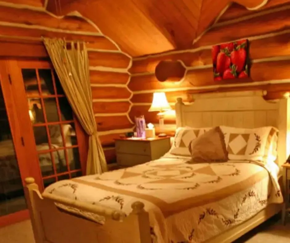WildberryLodge1's tweet photo. Are you looking for a cozy cabin for two? Escape to the Strawberry Room with a gas fireplace, a ceiling crisscrossed with log beams, and lots of comfy seating. Add a sumptuous jacuzzi tub, and you are set for the weekend!
https://t.co/otbs2JpNLd: https://t.co/xCBATLjrq9
