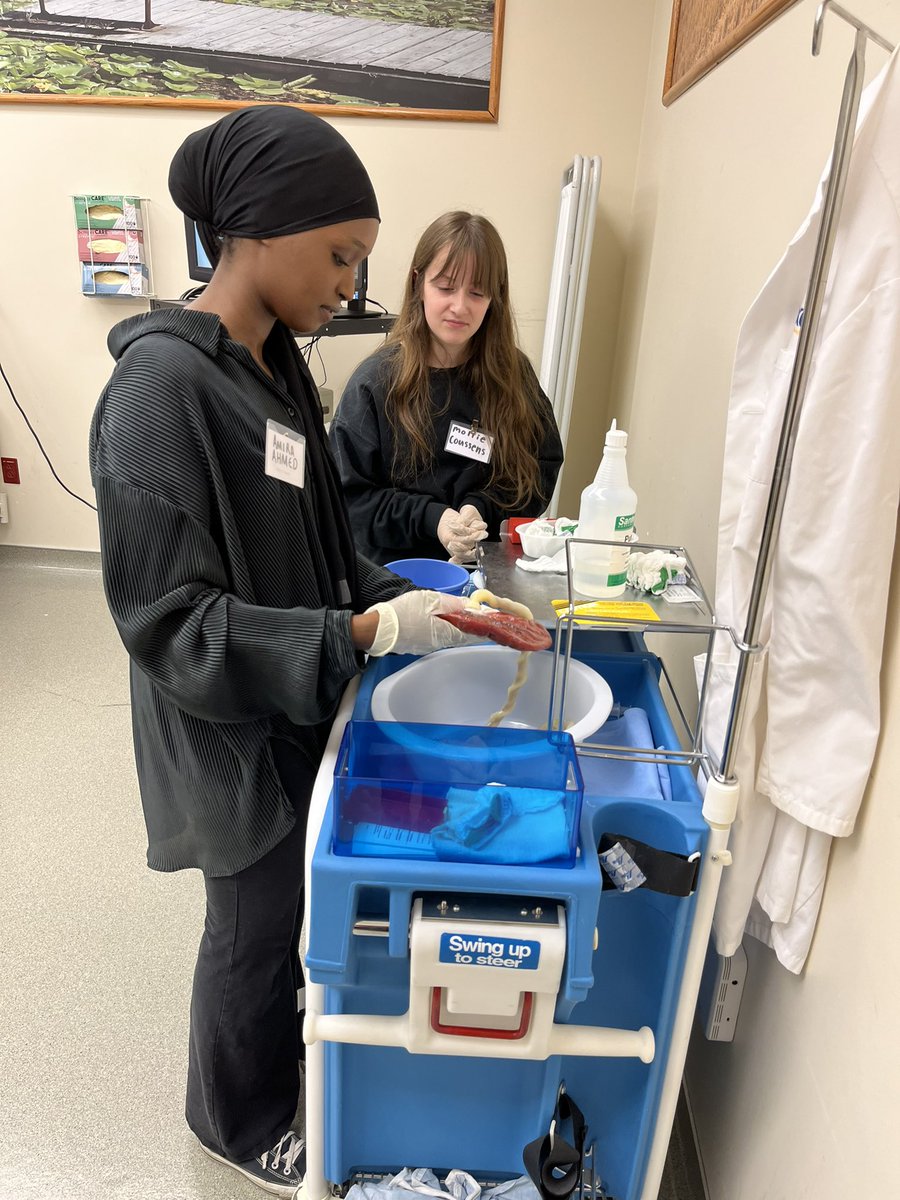 DrJamieMcSparin's tweet photo. Some of our juniors went on a job shadow with their mentor to the @UMKC School of Nursing! They learned what it takes to be a nurse and participated in a labor and delivery simulation! @NorthtownNews @NKCS_CCR @NKCHSDrewWhite @ShannonSShelton https://t.co/L9EQMkPABf