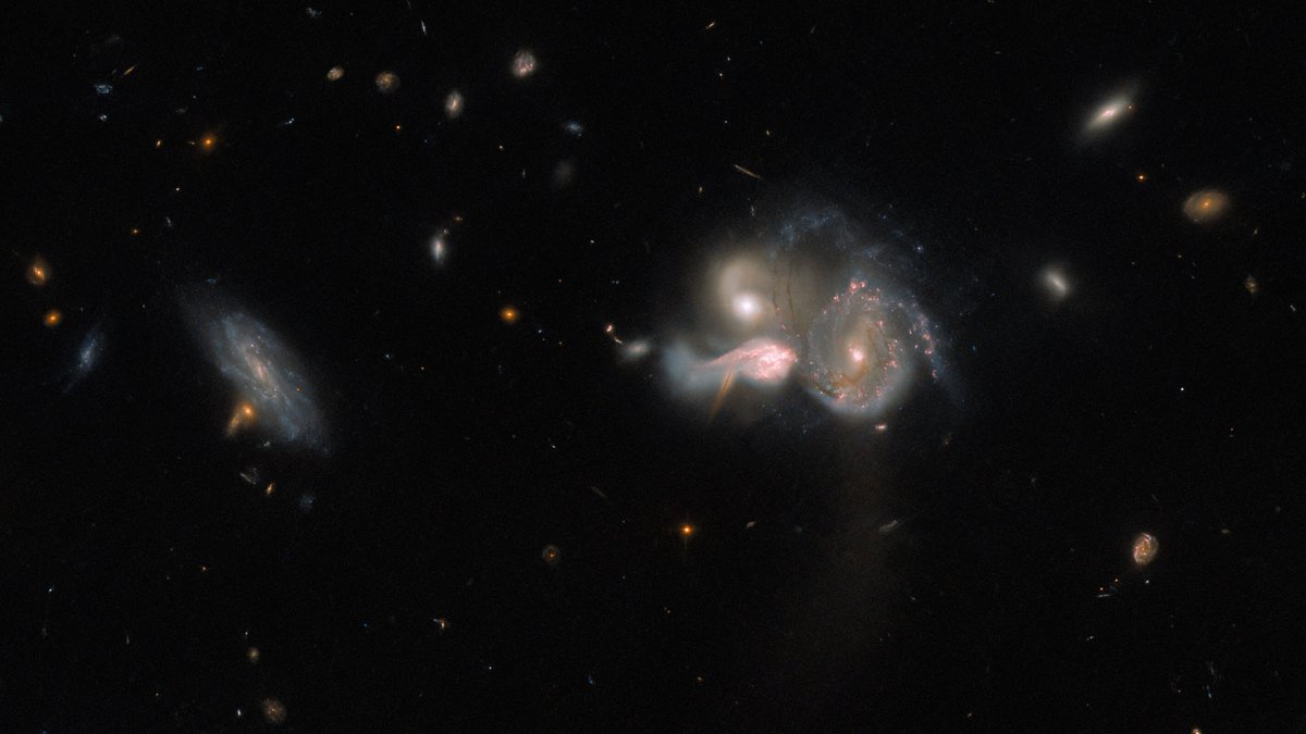 Skyheadliness's tweet photo. Hubble Space Telescope Discovers Three Colliding Galaxies!
Learn more about Colliding Galaxies at:
https://t.co/5qDyBSBIZO
.
.
.
.
.
#Hubble #hubbletelescope #hubblespacetelescope #collidinggalaxies #Galaxy #galaxies #GalaxiesCollide #collision #space #skyheadlines https://t.co/EGfXq7YS15