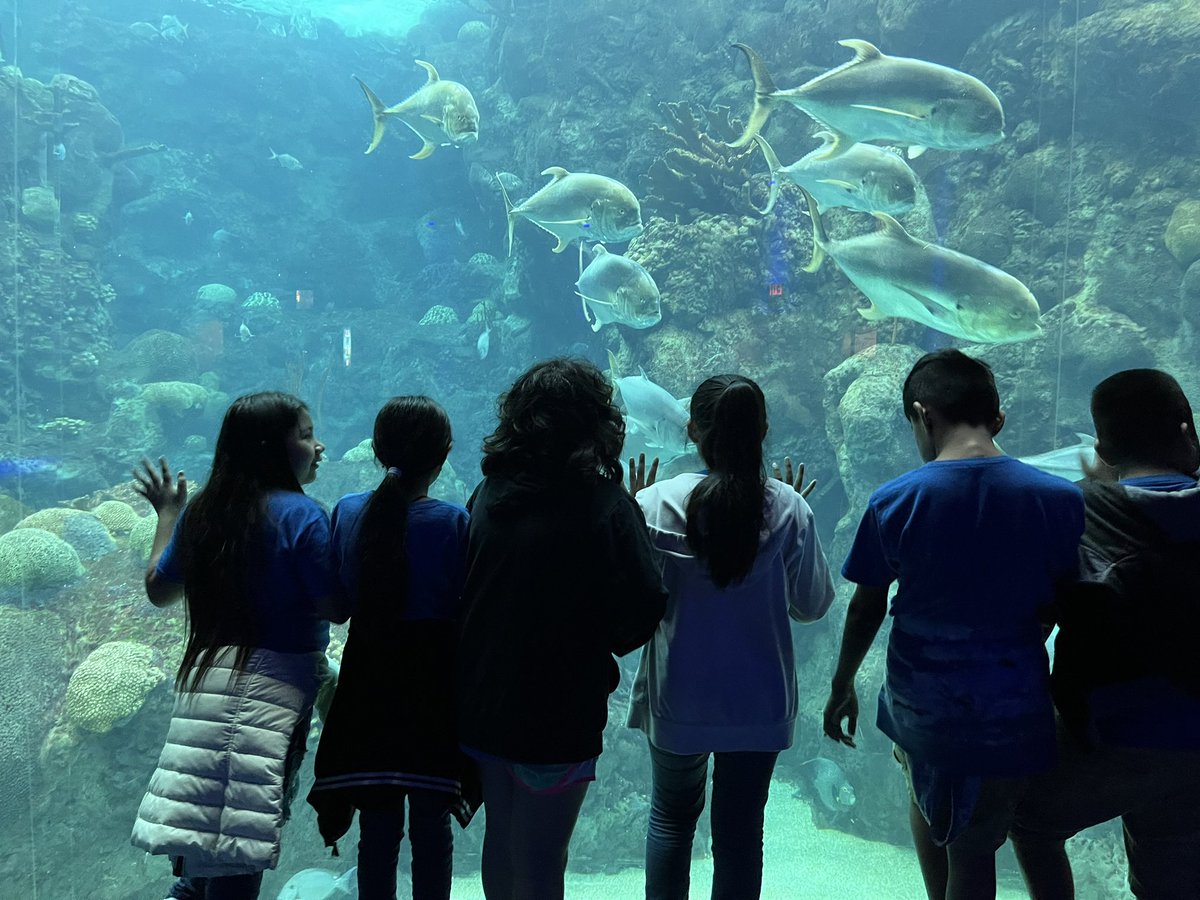 Dover Elementary School tweet media