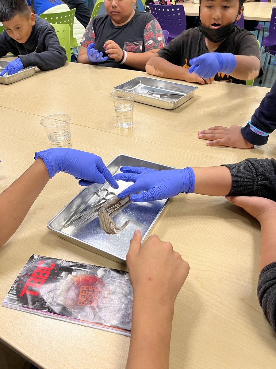 Dover Elementary School tweet media