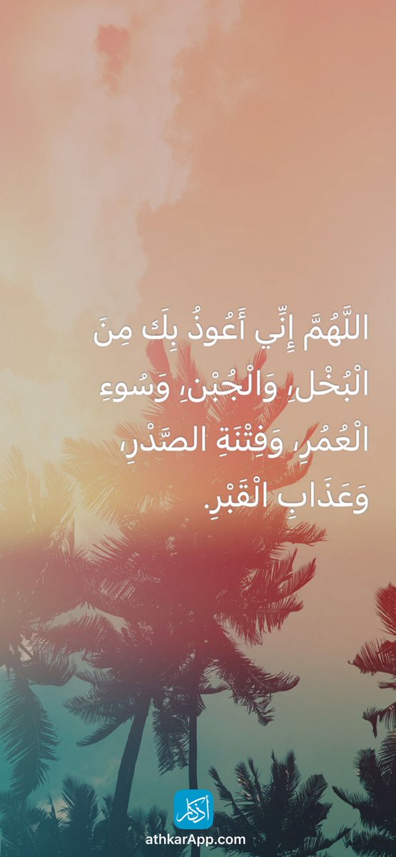 Ali Nabel (@alinabe77637169) on Twitter photo 