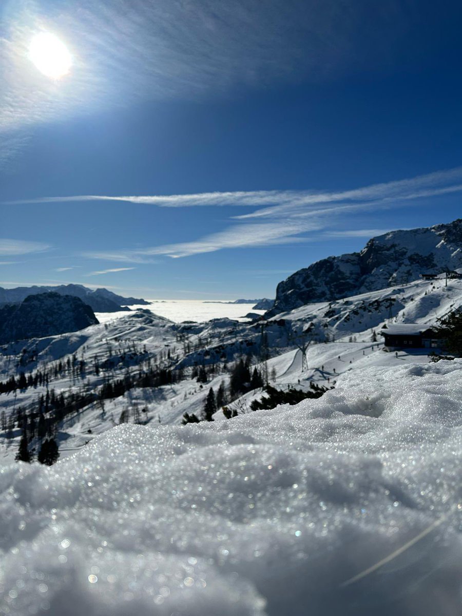 SA Sports tweet media