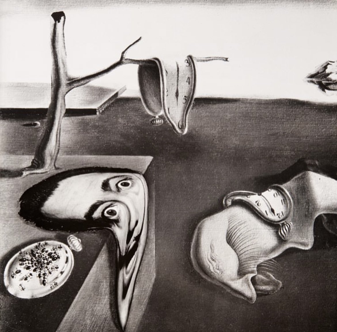 2 more days till our Ai drop..
💧
…sharing some more Halsman Dali Magic…
🔮
…This was from the Book “Dali’s Mustache”…
📚
Halsman asks: “What is Surrealism?”
Dali answers: “Surrealism is myself.”
🧠
Can anyone figure out how Halsman made this image in 1952??
🤔