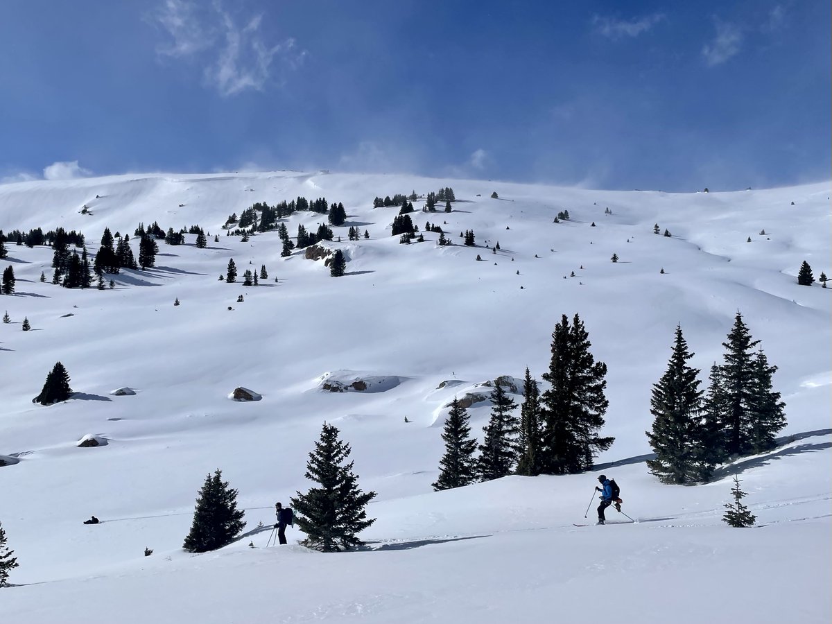 Checking on the snowpack with some pals.