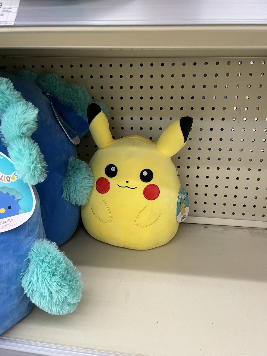 keeshtihn's tweet photo. @PokemonTCGDrops One squishmallow left! Walgreens in Silver Spring, MD on New Hampshire Ave across from Dunkin’ Donuts https://t.co/isTryGdcKt