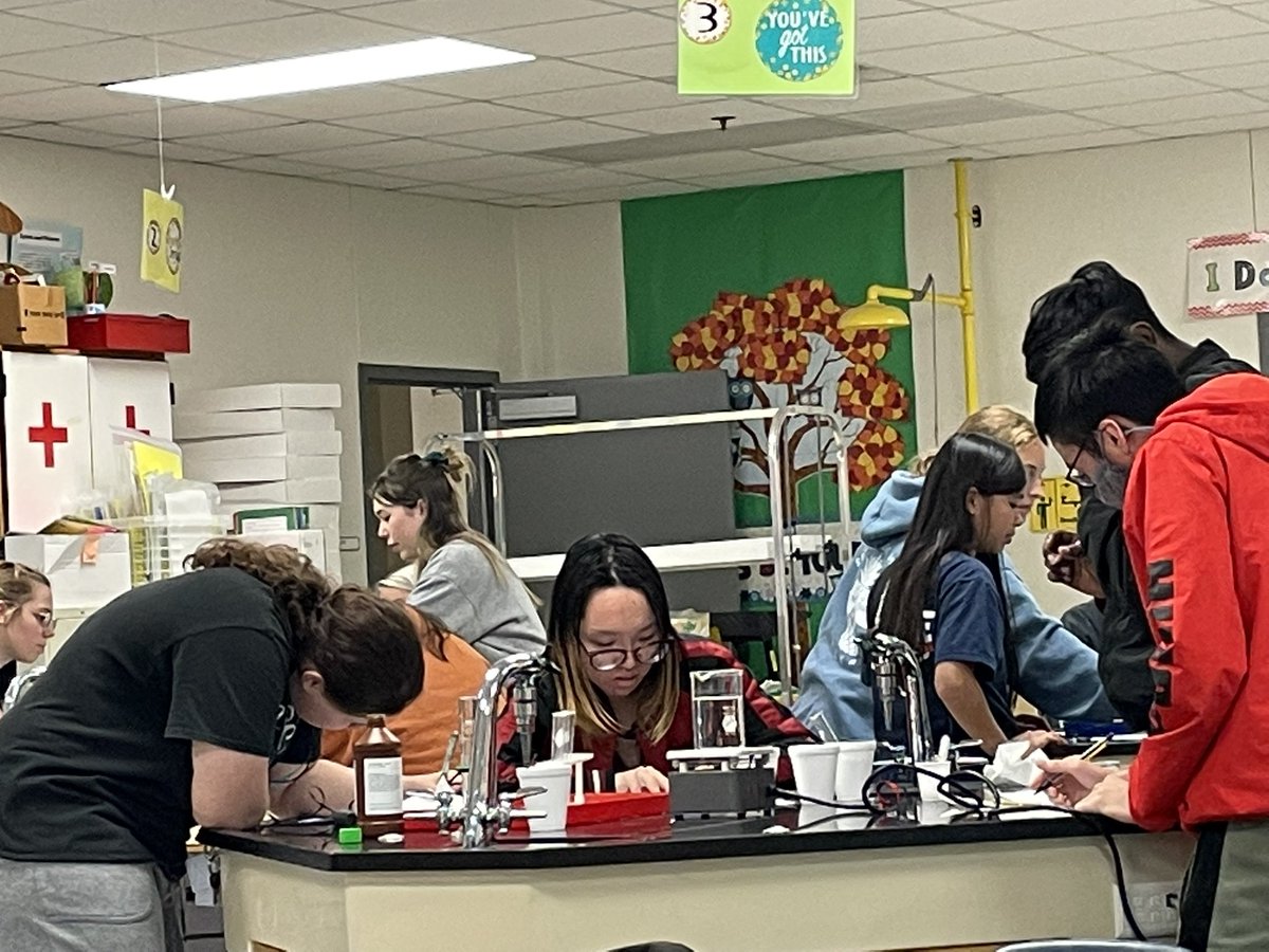 Denise Shupe tweet media