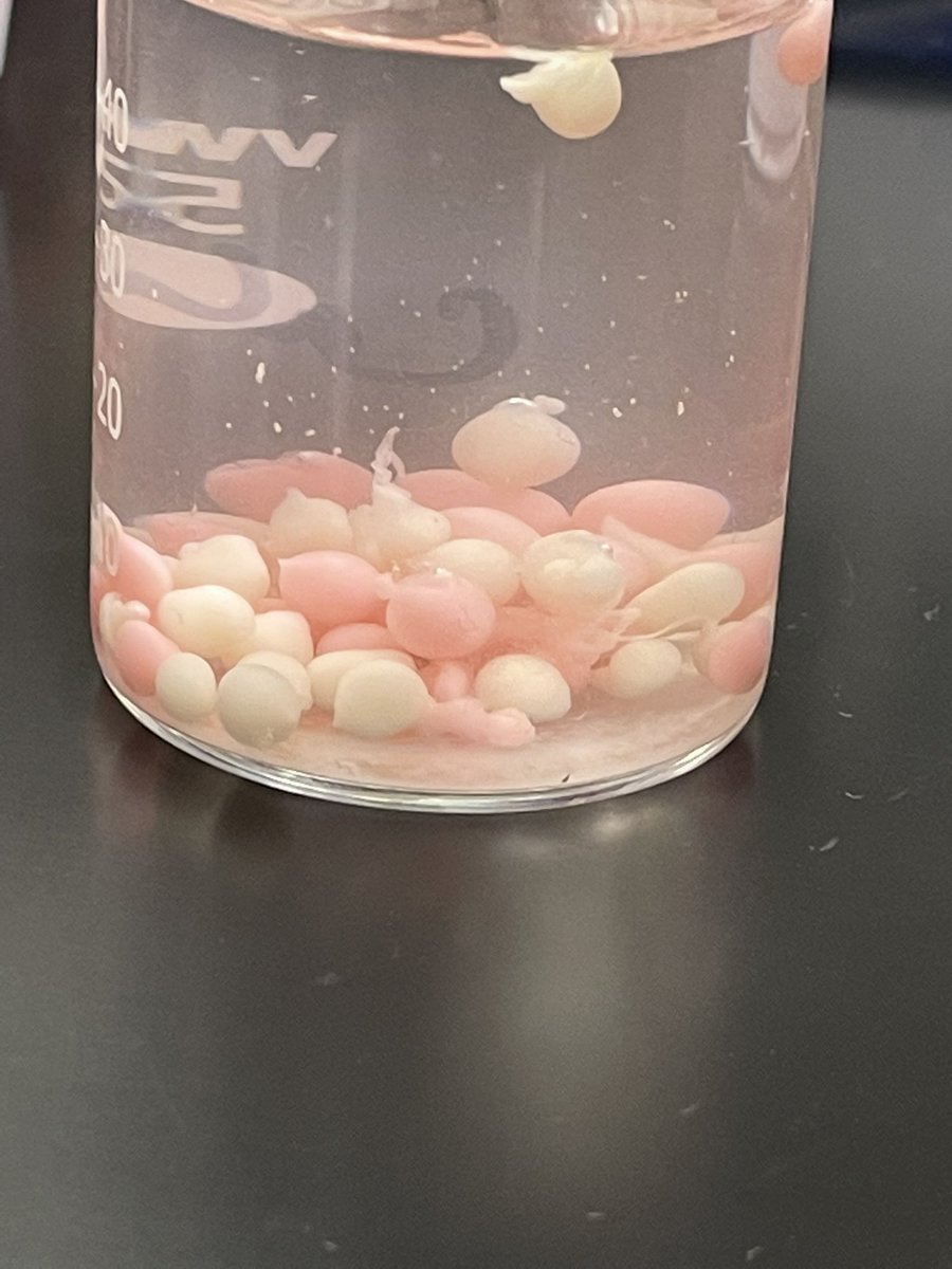 Denise Shupe tweet media