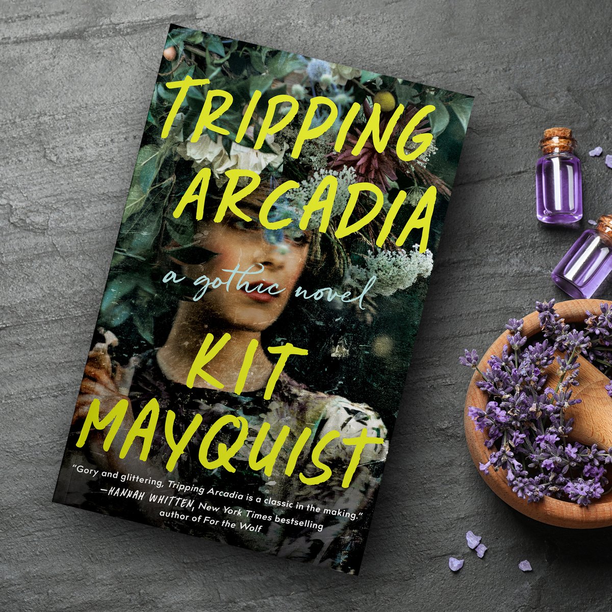 Dutton Books tweet media