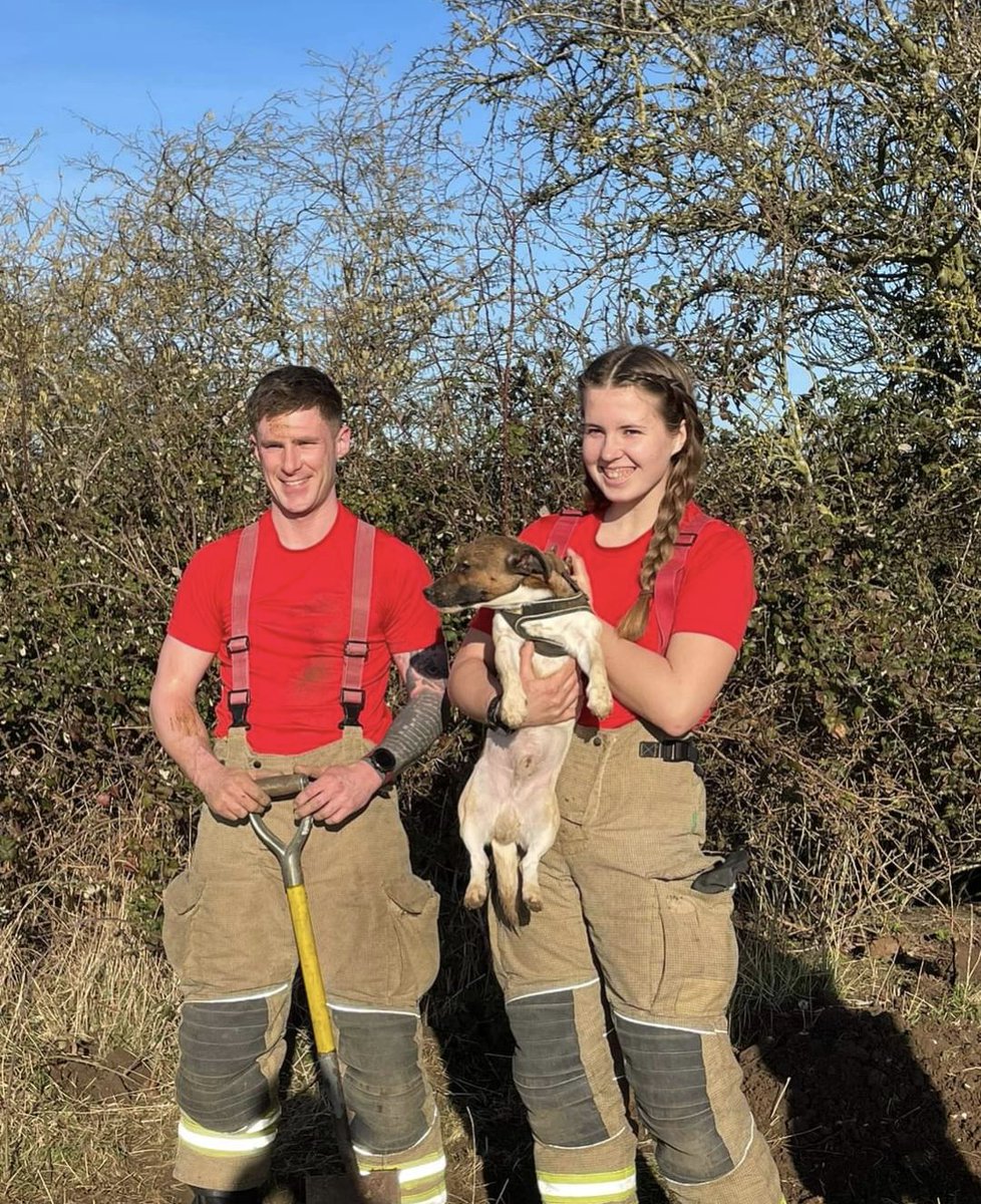 Crews <a href="/LouthFire/">Louth Fire Station</a> had another dog rescue this week. It was poor old Cody's turn to find himself in a pickle but crews managed to locate him and get him out safely.