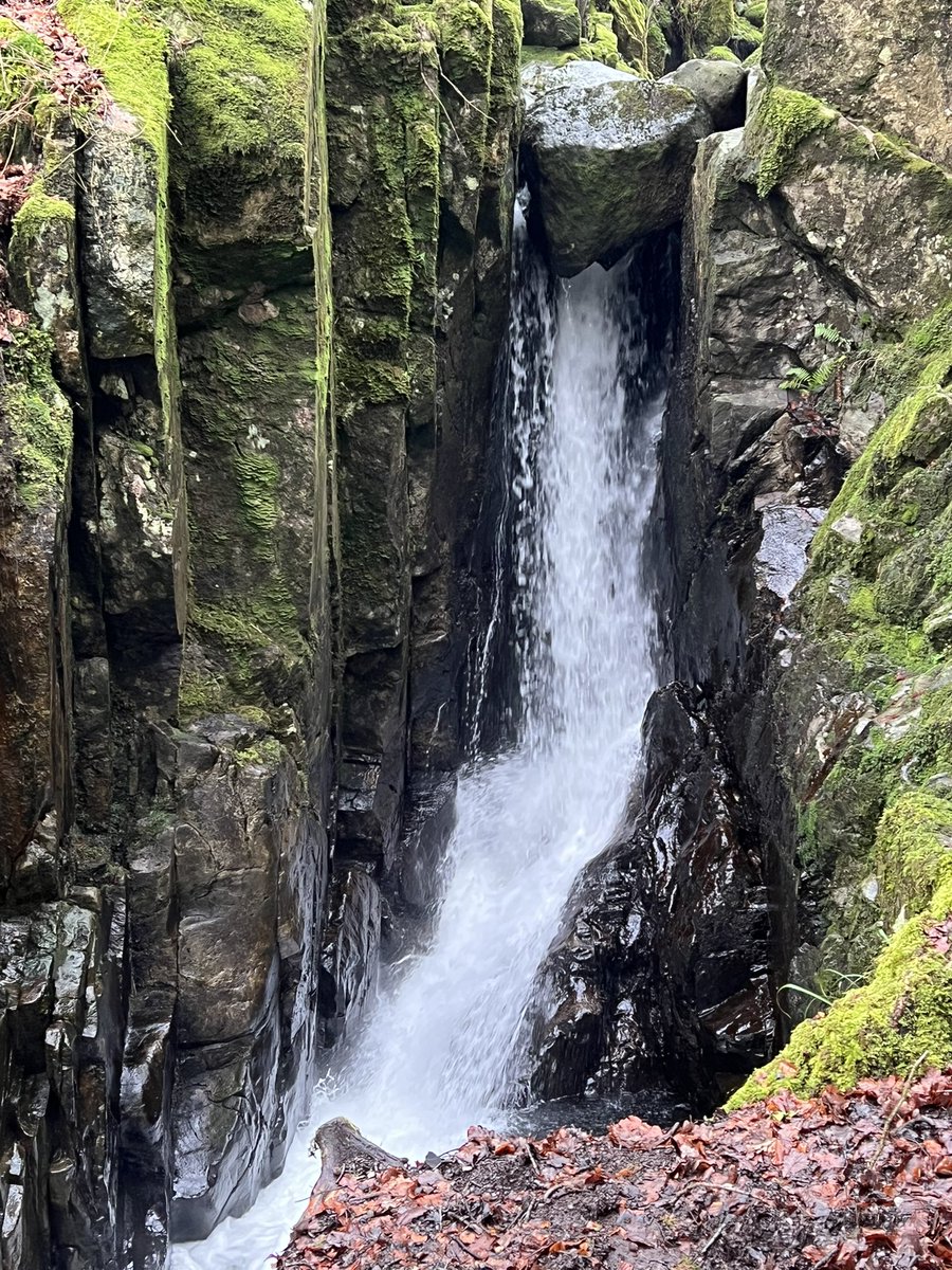jpmillington's tweet photo. Out and about exploring the other side of Rydal today. #rydalhall #rydallakedistrict #rydalhallwaterfall #wordsworth #rydalmountwordsworth #ambleside #lakedistrict #cumbria https://t.co/5c4lMM792U
