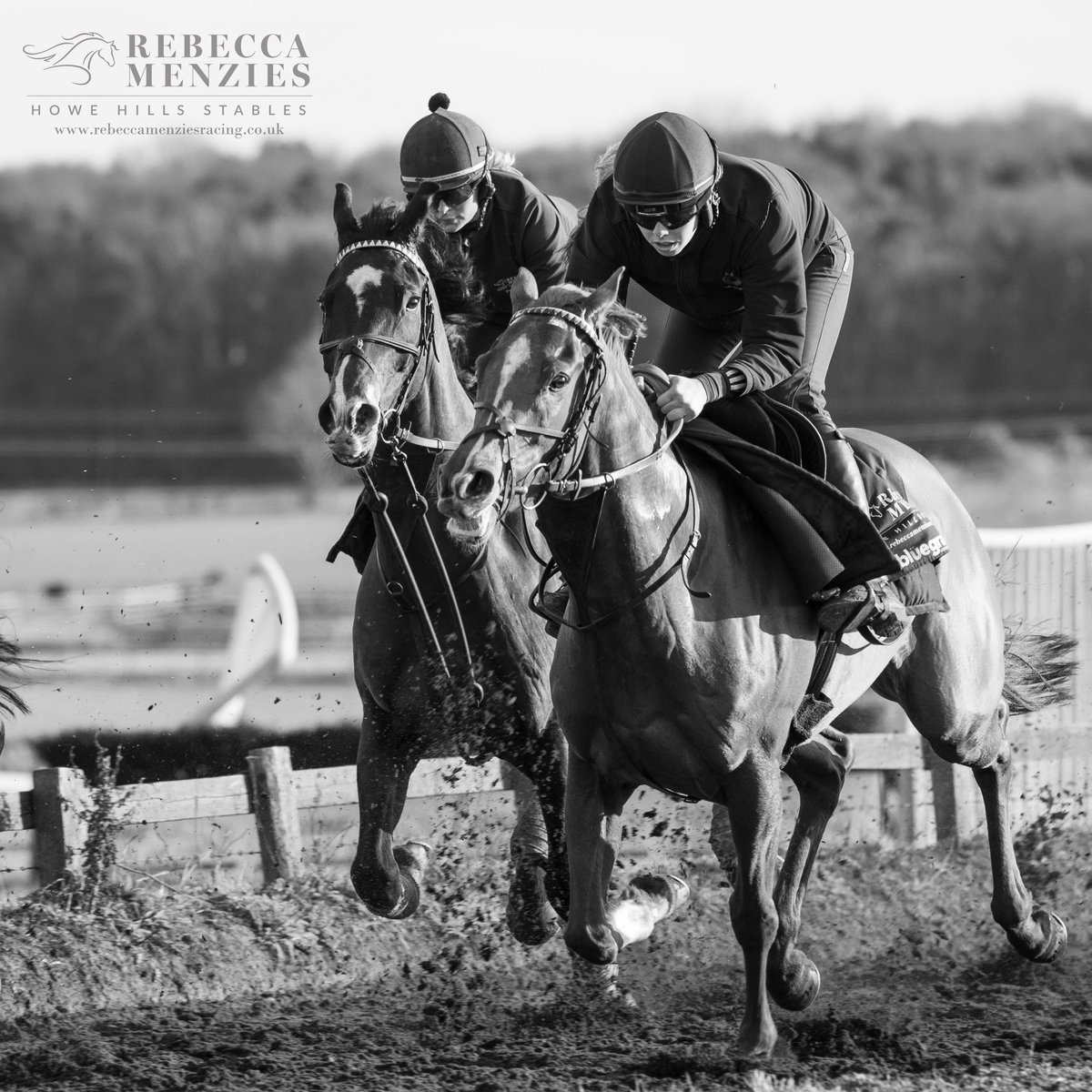 RebeccaEMenzies's tweet photo. In full flight #speed #fullflight #upsides #rebeccamenziesracing #teammenzies #stablelife #horse #racehorse #racehorsephotography #horsetraining #jockey #gallop #horselove #horserider #horseriding #blackandwhitephotography #monchromephotography https://t.co/nvOtQo3Fke