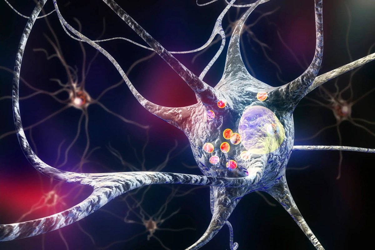 nanotrac's tweet photo. Chemists Have Synthesized an Ocean-Based Molecule That Could Fight Parkinson’s https://t.co/DmoKv4qrt5 | @SciTechDaily1 #Chemistry #OceanBased #Molecule #Parkinsons #SciTechDaily https://t.co/ALS4dHC4Dw