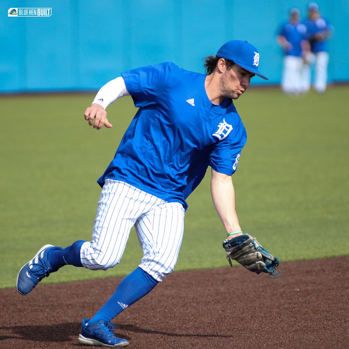 Delaware Baseball tweet media