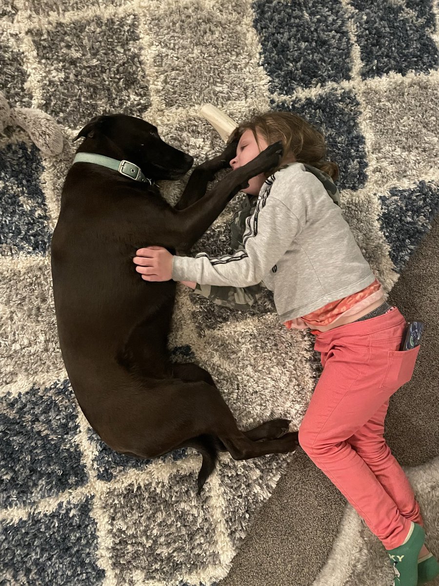 brianne3484's tweet photo. @ChaseRiceMusic Huckleberry and Rosie 🥰 https://t.co/nokI3t0AgR