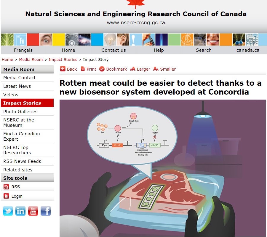 Synbio101's tweet photo. Really proud to have had my research featured on the NSERC impact stories. This would not have been possible with out the help @NSERC_CRSNG or any of my mentors and co-authors. #science #syntheticbiology #womeninscience 🥩🦠👩🏽‍🔬🙏🏽✊🏽🤩🥲 
https://t.co/N0m9CuyQ3w https://t.co/esu9Gt47yr