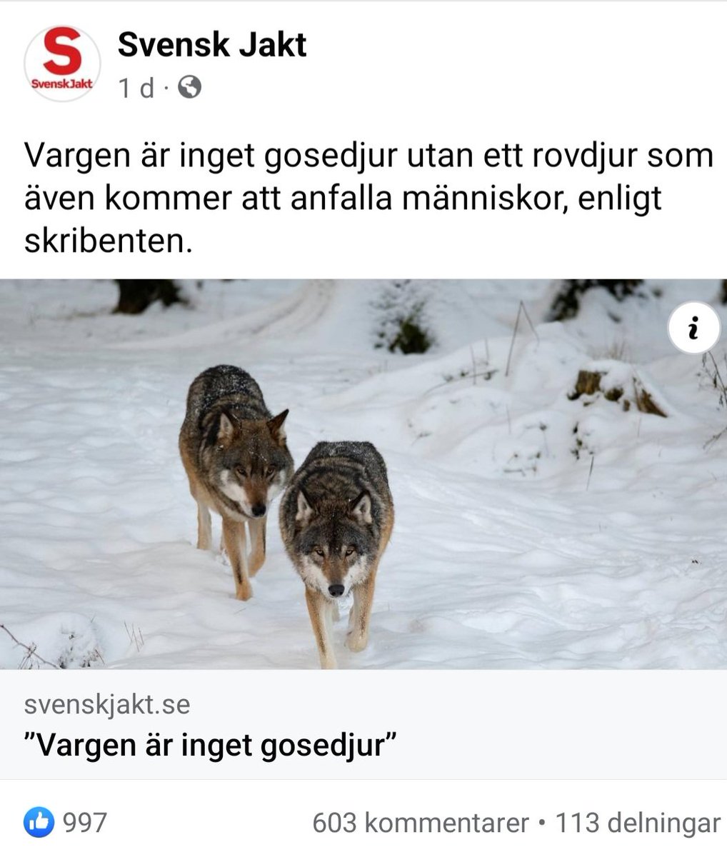 Kommentarerna till denna artikel höll ju god ton och var nyanserade.