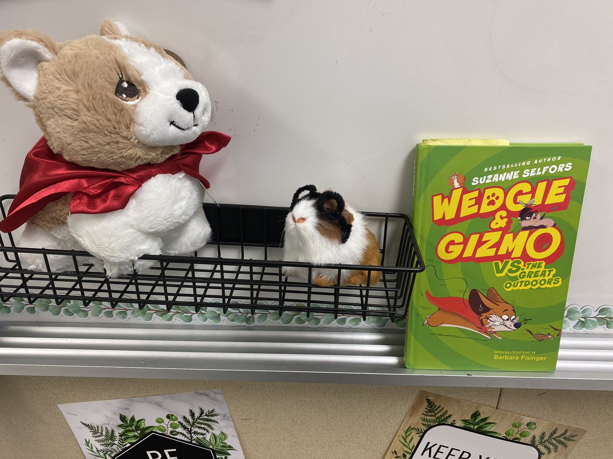 Robin Bartel tweet media