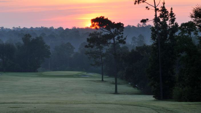 Nathan Crace, ASGCA, PLA tweet media