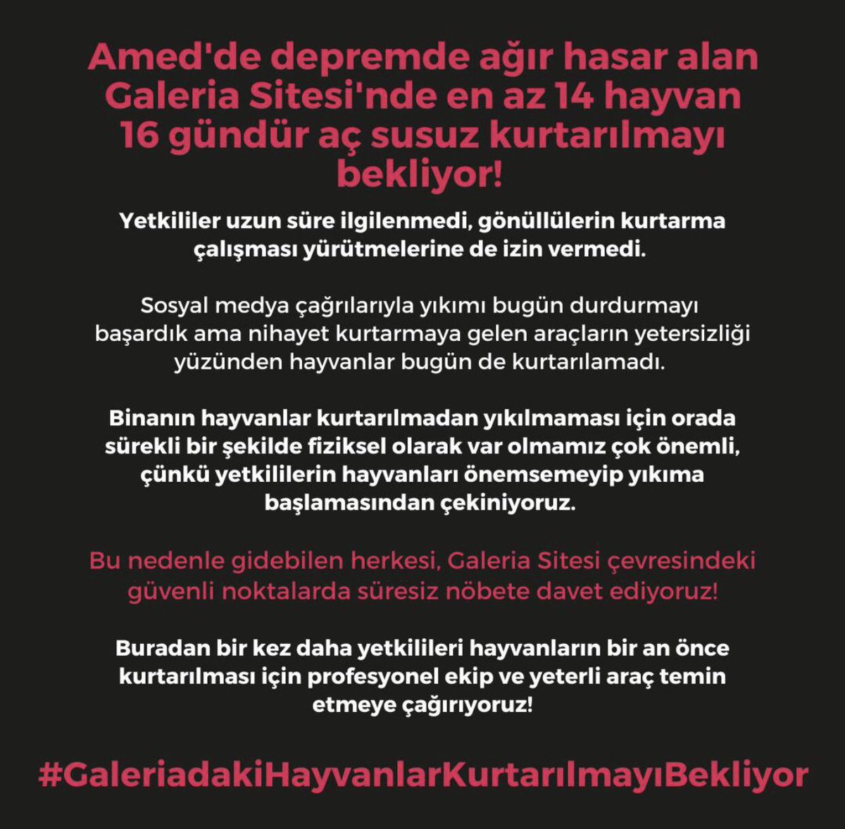 lubunyadeprem's tweet photo. Herkesi Galeria Sitesi çevresindeki güvenli noktalarda süresiz nöbete çağırıyoruz!Amed’de depremde ağır hasar alan Galeria Sitesi’nde en az 14 hayvan 16 gündür aç susuz kurtarılmayı bekliyor!
 #GaleriaKurtarılmayıBekliyor
#GaleriadakiHayvanlarKurtarılmayıBekliyor https://t.co/kpPkal5628