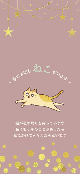 ⑦茶トラ 