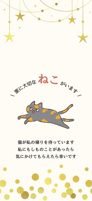 ⑧サビ猫 