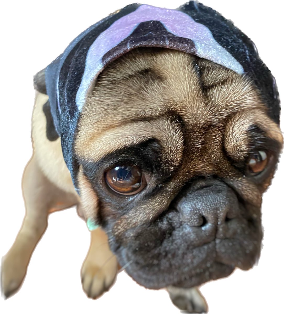 Es a mil la piña de tamales