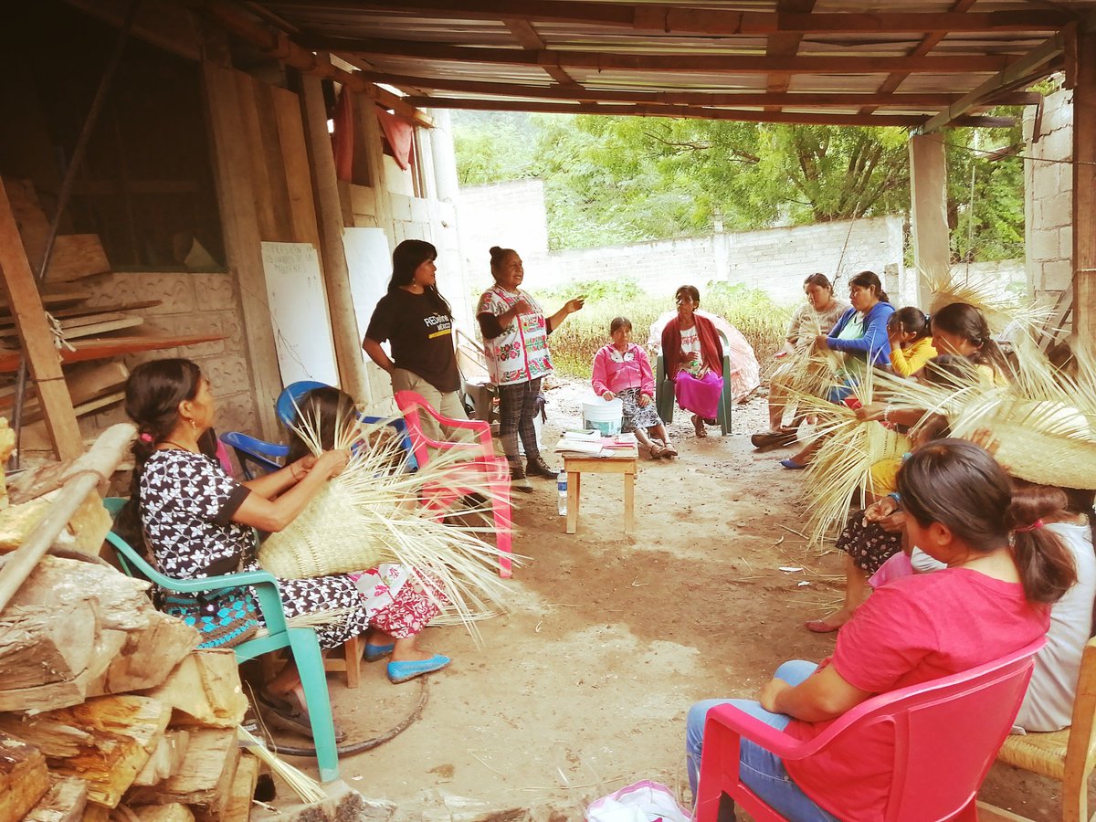 El acceso a la información en lenguas maternas es un derecho inalienable. Sigamos promoviendo estos derechos con enfoque y pertinencia cultural.
#DíaInternacionalDeLaLenguaMaterna 
💚🌱🤎