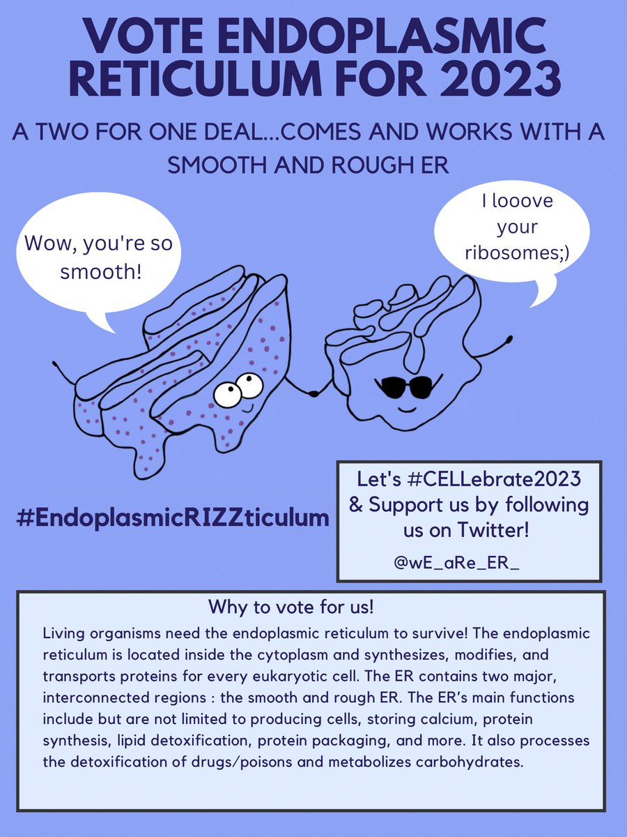 W rizz if you ask me! Vote Endoplasmic  Reticulum for 2023 #CELLebrate2023 <a href="/MsDSacco/">WHS SCIENCE</a>