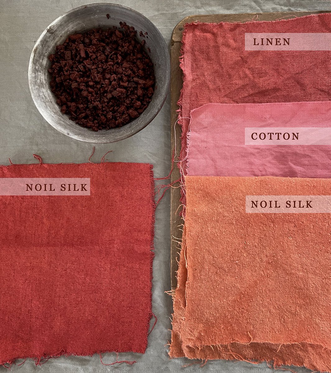 I’ve been dyeing with madder (Rubia tinctoria). The roots are one of the oldest known dyes and they can dye a range of warmer shades from pink and coral through to deep red and purple. 1/2