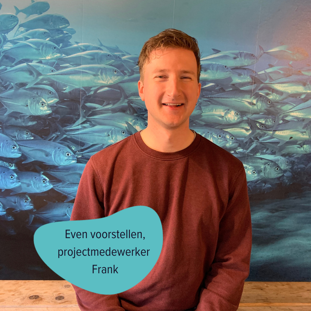 Good Fish tweet media