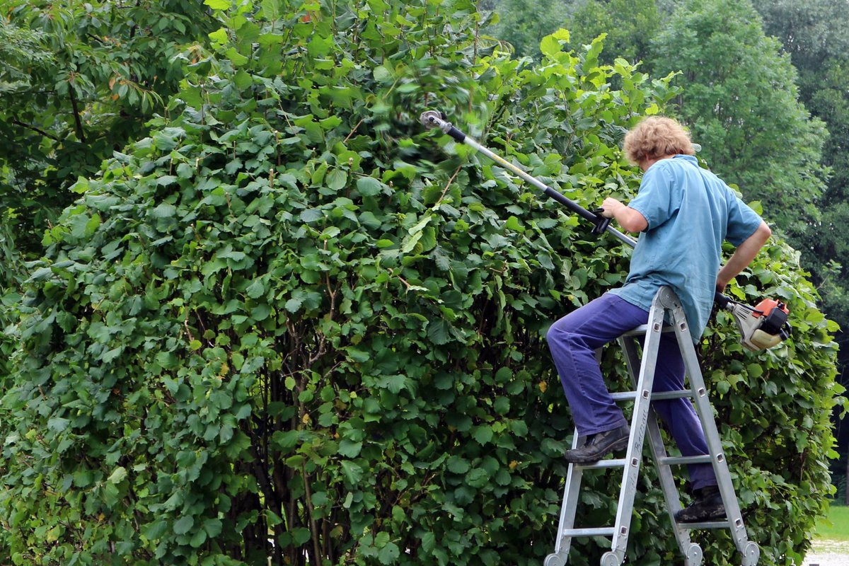 precisionplus_'s tweet photo. Having maintained trees on your property can greatly increase your property value, but trimming done incorrectly can do more harm than good. Visit our website for more information!
 
#DrywallContractor #TreeTrimming https://t.co/E5LjwPkp1Q https://t.co/8QgZr6z2Qn