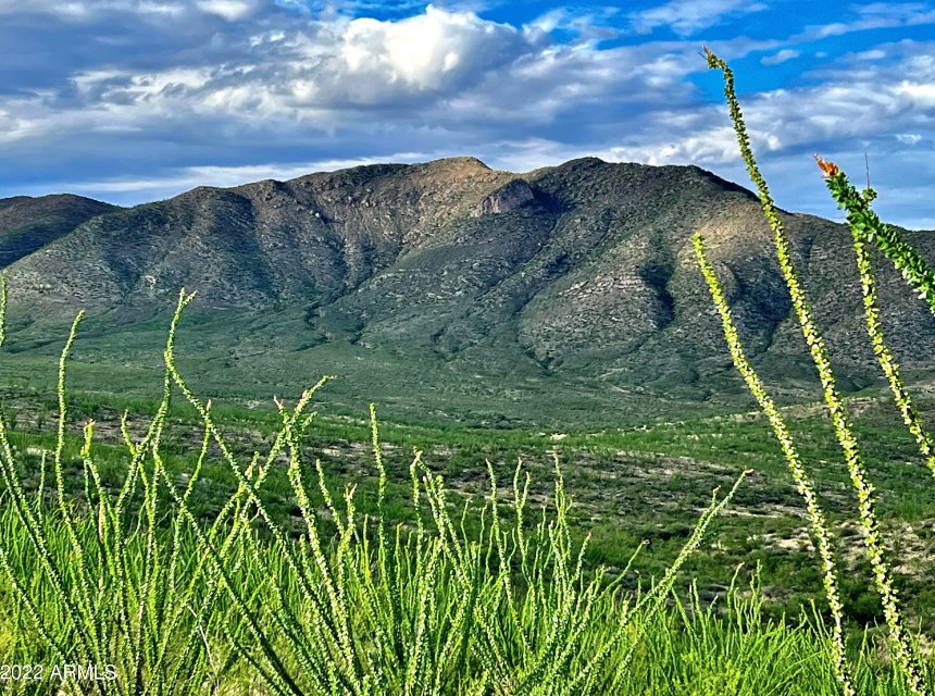 Build your own world on 173 acres near Bisbee, AZ - Crexi.com crexi.com/properties/101… #Commercialrealestate