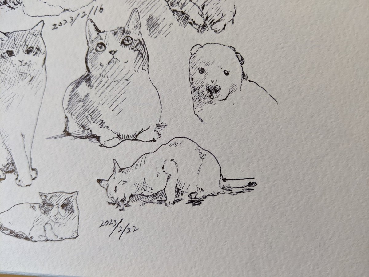 (猫の日に犬描いてもいいじゃない…) カキカキ。 