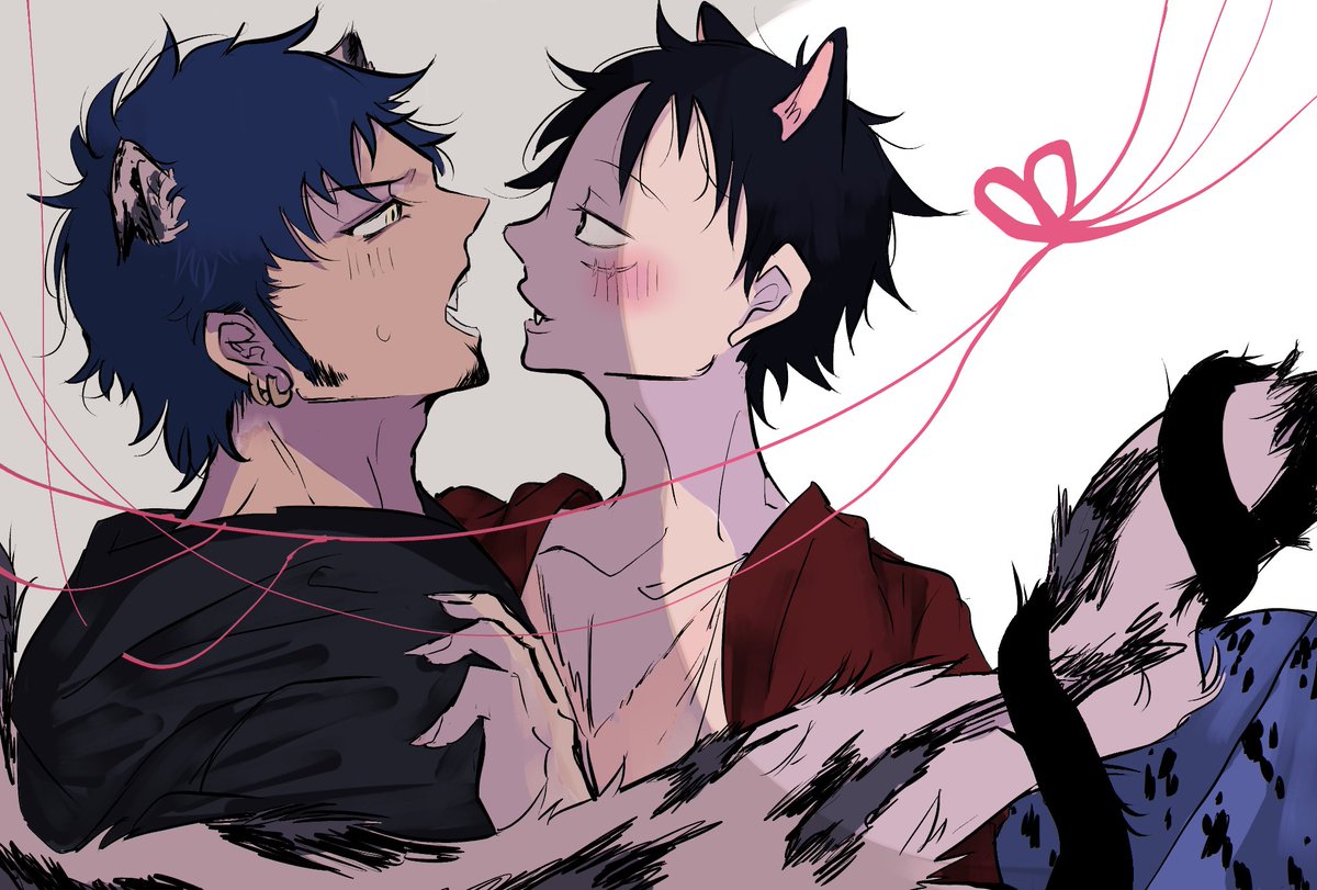【再掲】けもけもけも🐯👒
#lawlu 