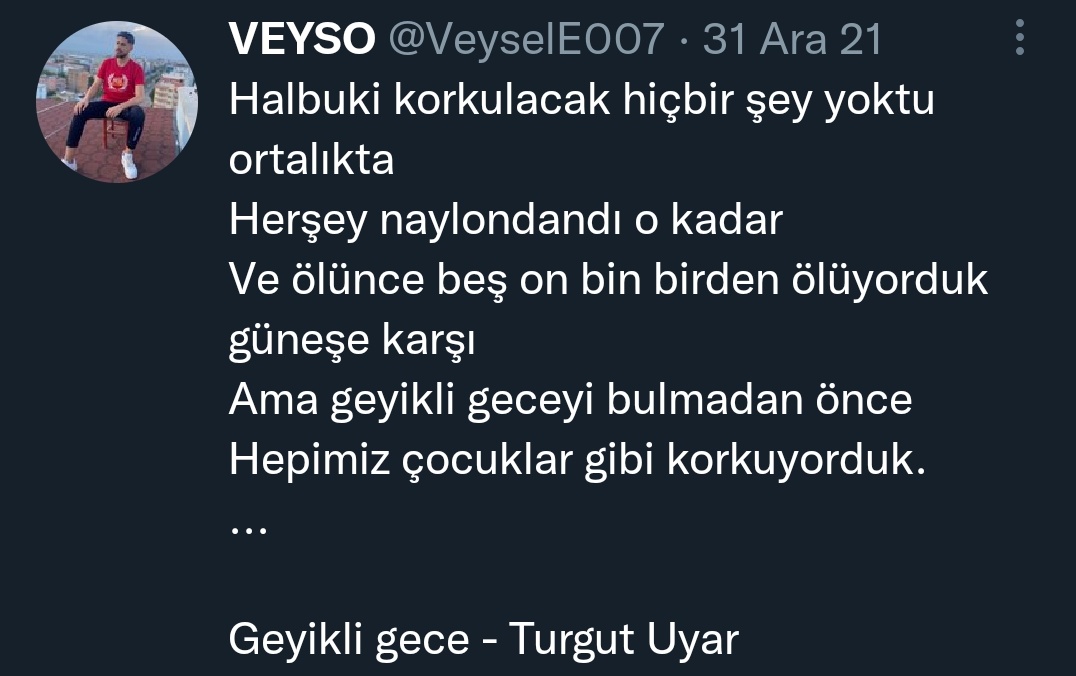"...ve ölünce beş on bin birlikte ölüyorduk güneşe karşı..."