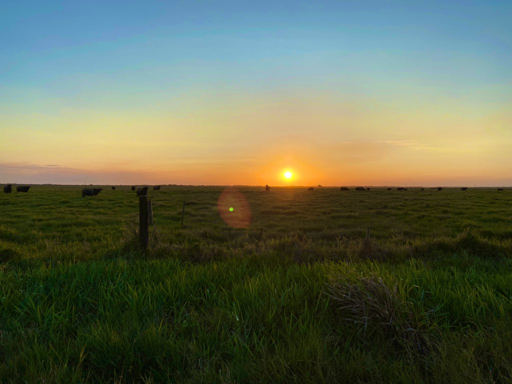 NadalDiplo's tweet photo. ¡Atardecer llanero! 

#Venezuela 🇻🇪🇫🇷 https://t.co/nJW0Ozf7H8
